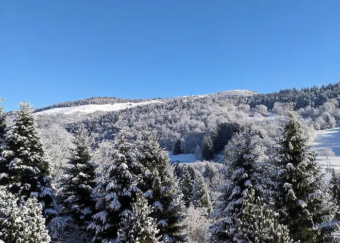 La Source Bed & Breakfast 3*